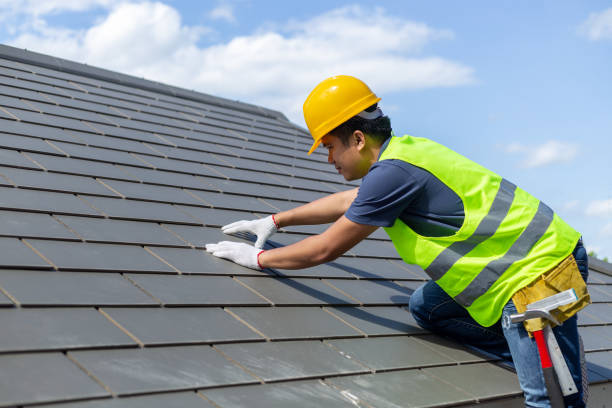 Best Roof Gutter Cleaning  in Hoisington, KS