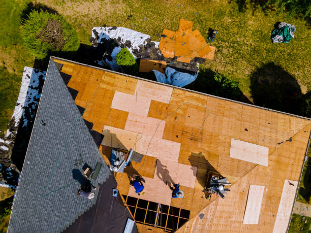 Best Flat Roof Repair Services  in Hoisington, KS