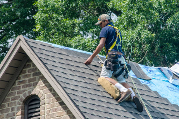 Best Roof Repair Services  in Hoisington, KS